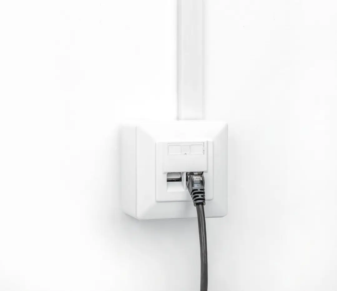 Manhattan Intellinet 2-Poorts Cat6 10G RJ45 Netwerkbus - Wit - afbeelding 6 van 6