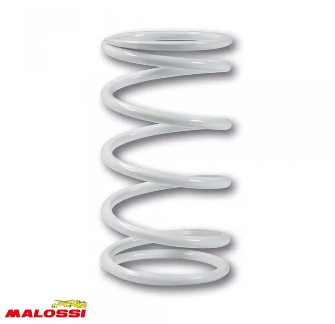 Ressort d embrayage Malossi pour Scooter Yamaha 500 T-Max 2001 à 2011 2912772.W