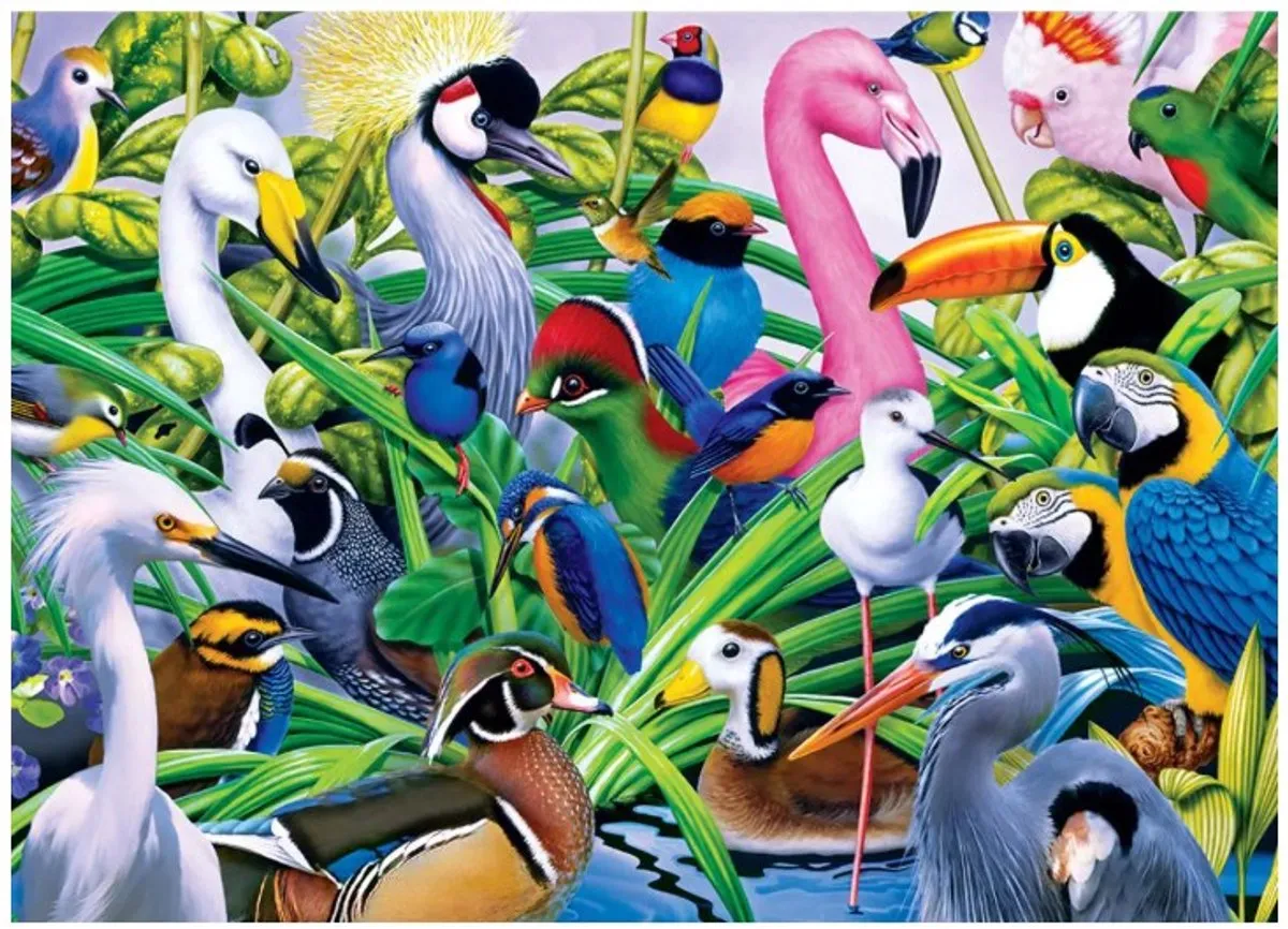 Jumbo Puzzel Birds 1000 Stukjes