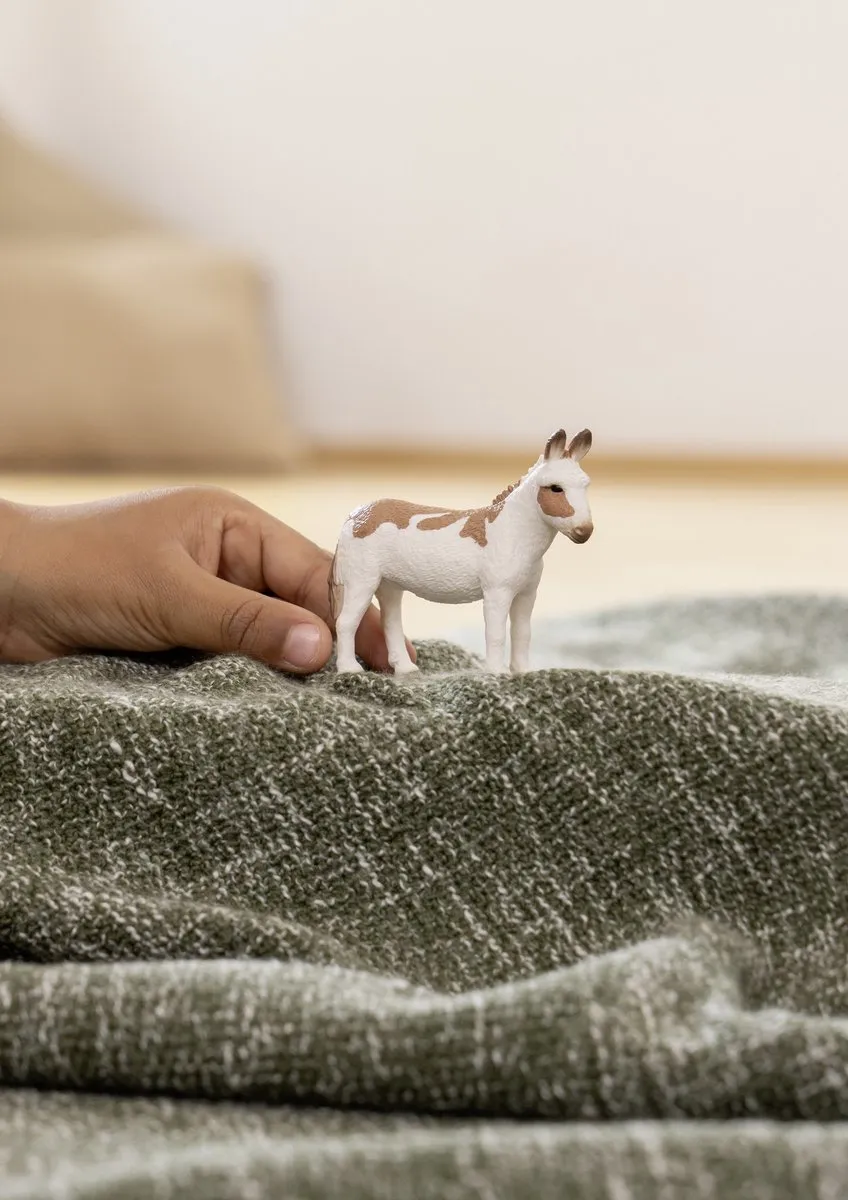 Schleich FARM WORLD Amerikaanse Gevlekte Ezel 13961