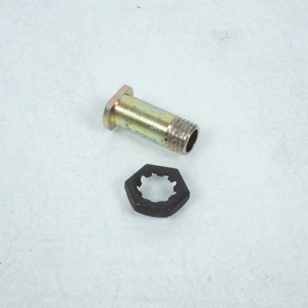 Visserie Brembo pour Deux Roues Cagiva 110279850 / Axe levier Neuf