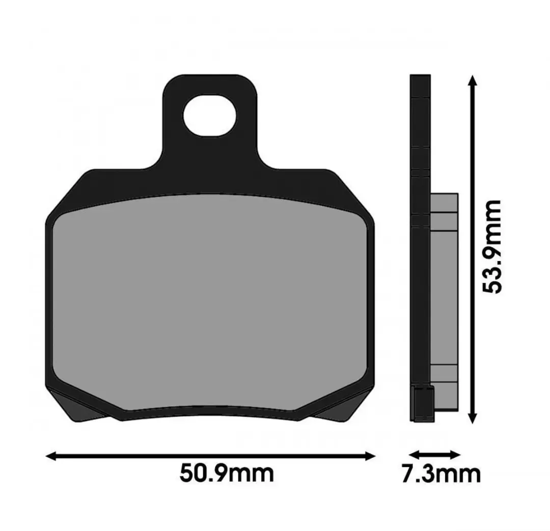 Plaquette de frein Polini pour Moto Triumph 1200 SPEED TRIPLE RS Après 2021 Neu