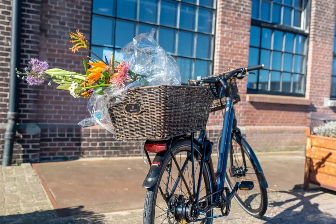FastRider Sverre Achterdrager Fietsmand - 30L - Bruin - afbeelding 6 van 6