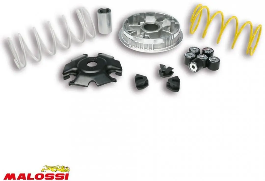 variateur malossi voor scooter piaggio 125 vespa sprint 2013 5116674 / multivar