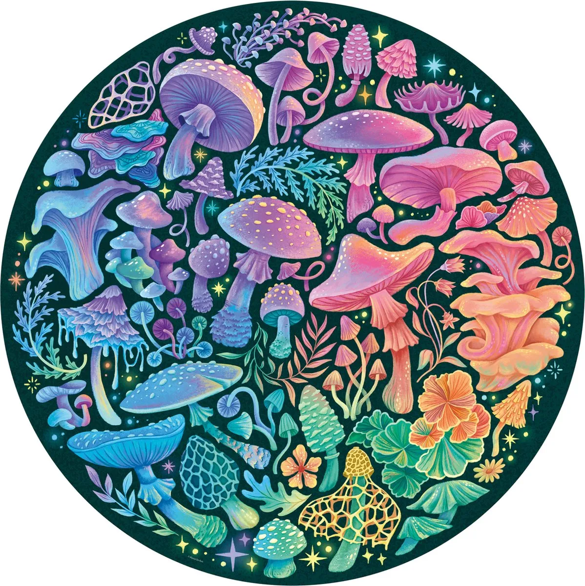Ravensburger Circle of Colors Champignons Legpuzzel 500 Stuks - Multicolor