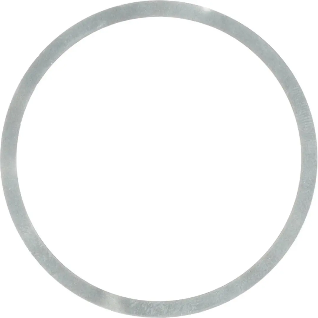 Elvedes Vulring Centerlock 0.1mm RVS - 4 Stuks - afbeelding 3 van 4