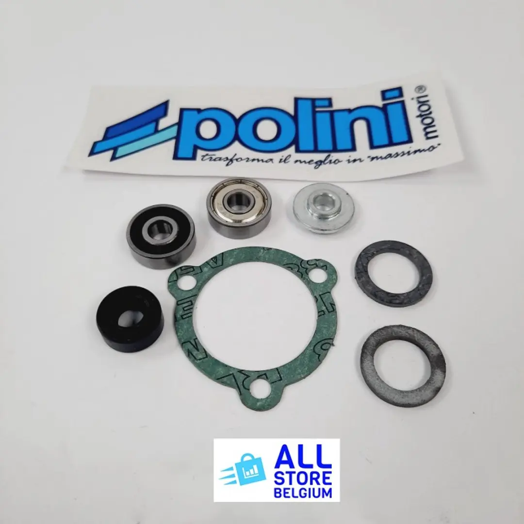 Polini waterpomp revisie set