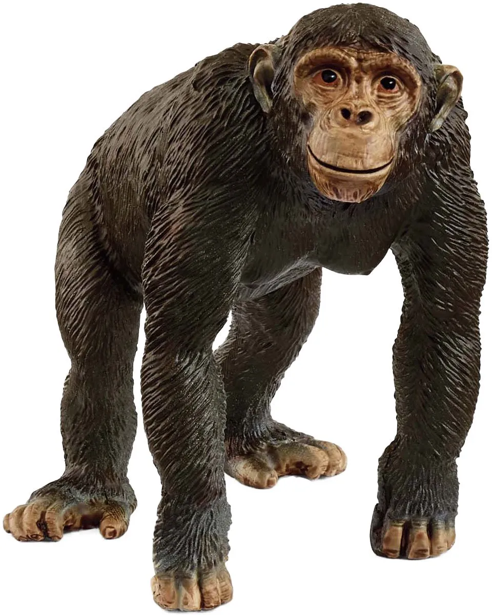 Schleich Chimpansee 14883 - Multicolor