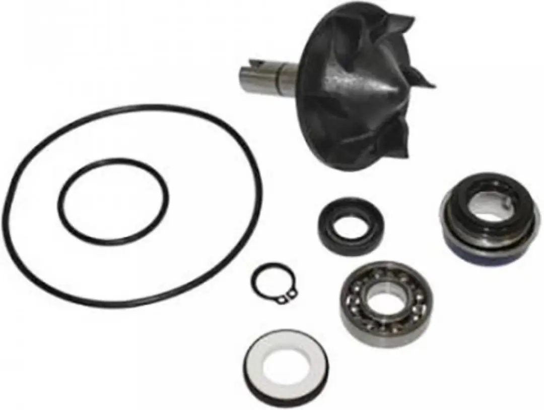 Pompe à eau Buzzetti pour Scooter Yamaha 500 T-Max 2008 à 2011 Neuf