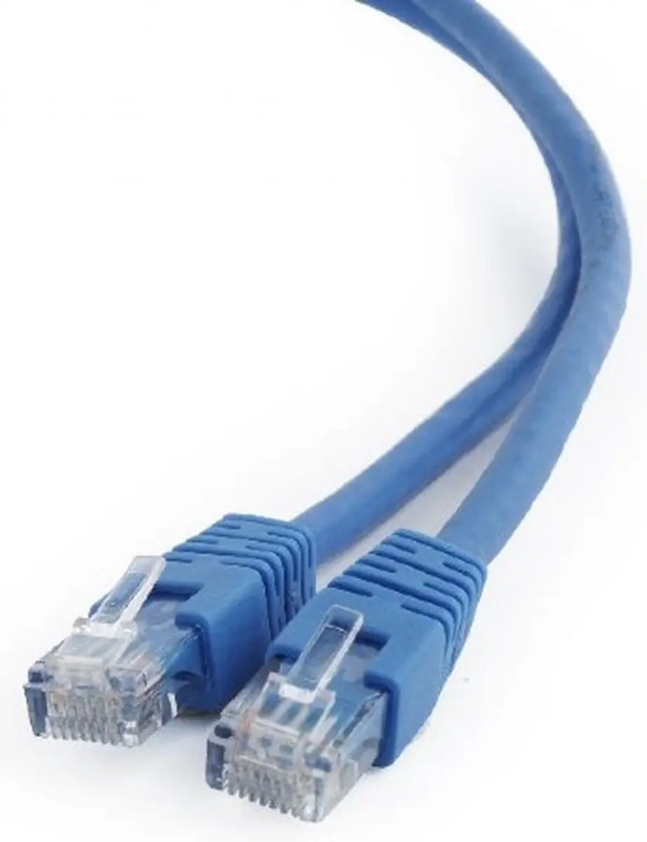 Cablexpert UTP Cat6 Patchkabel 0.25m - Blauw - afbeelding 5 van 5