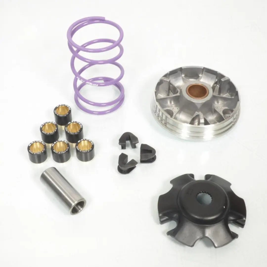 Variateur Malossi pour scooter Aprilia 100 Scarabeo 2003 à 2007 5112024 Neuf