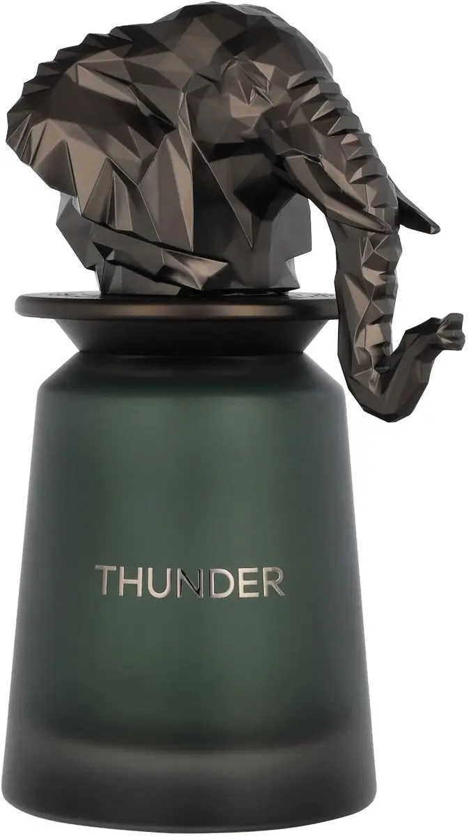 French Avenue Thunder Eau de Parfum 100ml
