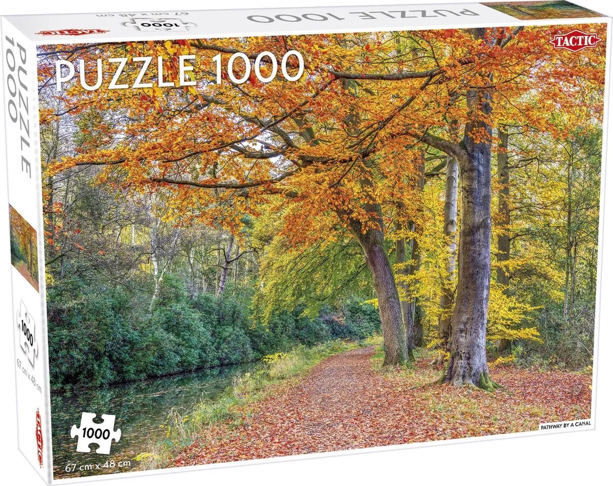 Tactic Puzzel Pathway By a Canal 1000 Stuks