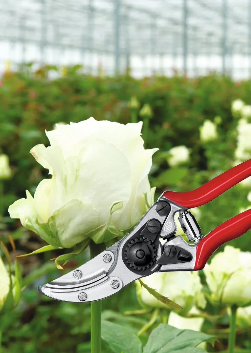 Felco 100 Rozen Snoeischaar - 10mm - afbeelding 6 van 6