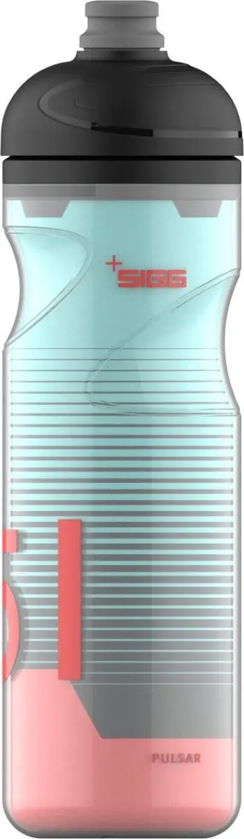 SIGG Pulsar Therm 0.65L frost