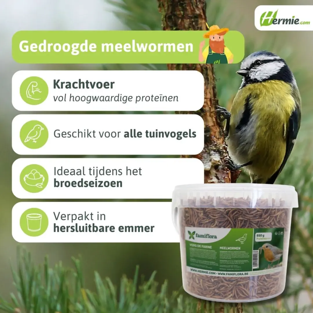 Famiflora Meelwormen 850g - Voor Tuinvogels - afbeelding 5 van 6