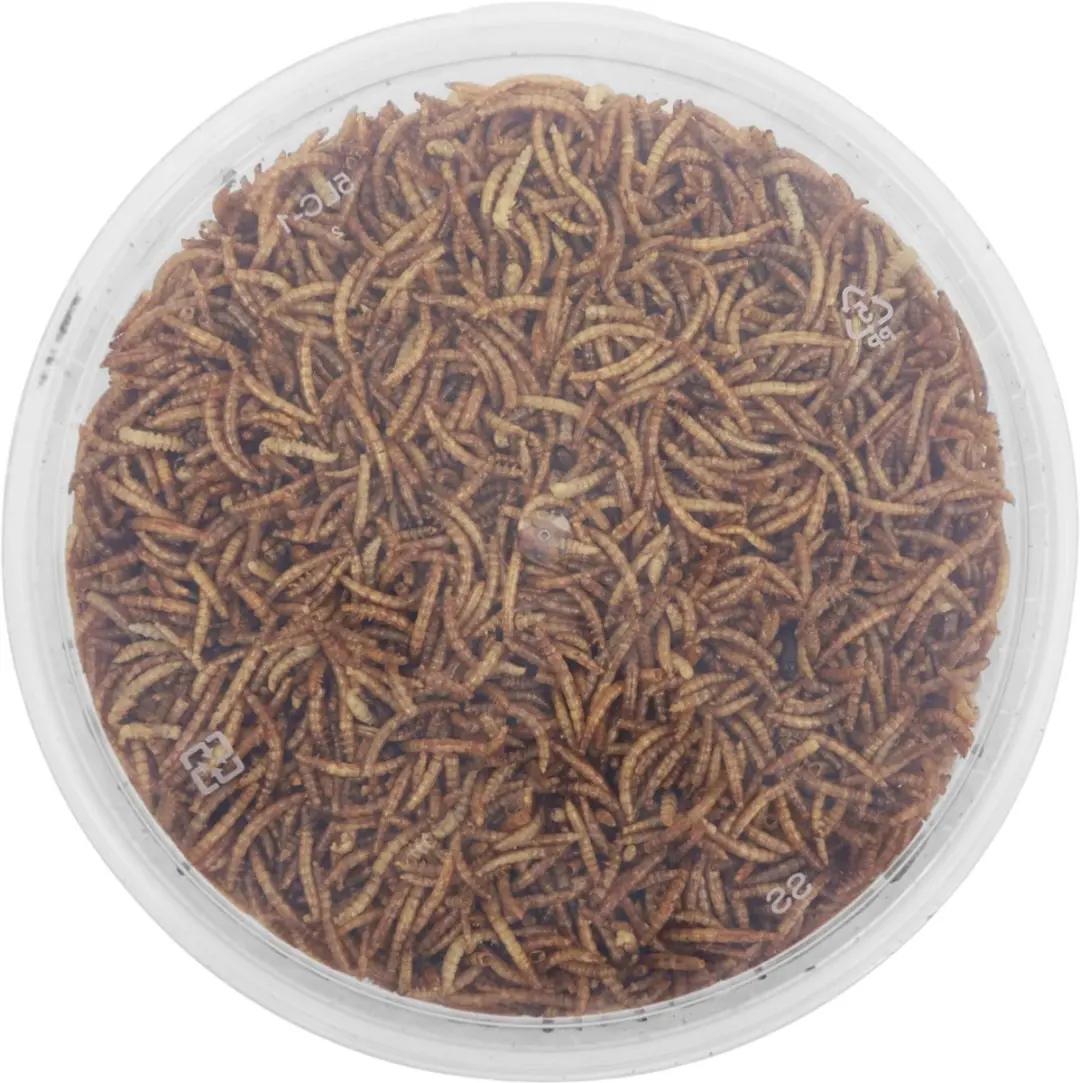 Famiflora Meelwormen 850g - Voor Tuinvogels - afbeelding 4 van 6