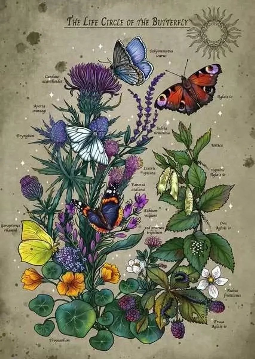 Ravensburger Butterfly Puzzel 500 Stuks - Meerkleurig