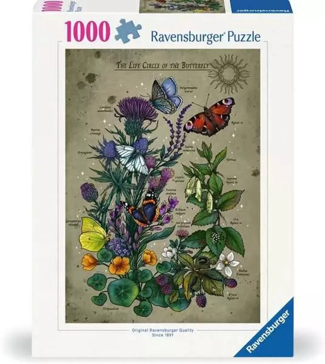 Ravensburger Butterfly Puzzel 500 Stuks - Meerkleurig
