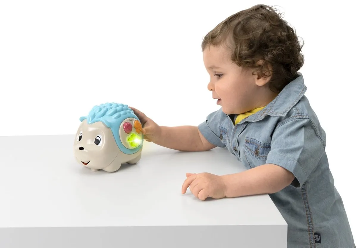Chicco Dag en Nacht Egel - Multicolor