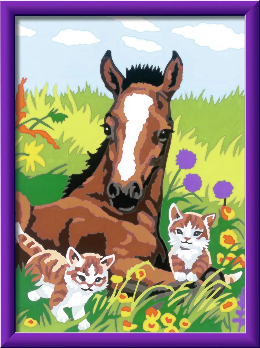 Ravensburger Schilderen op nummer Paard en kittens - Multicolor
