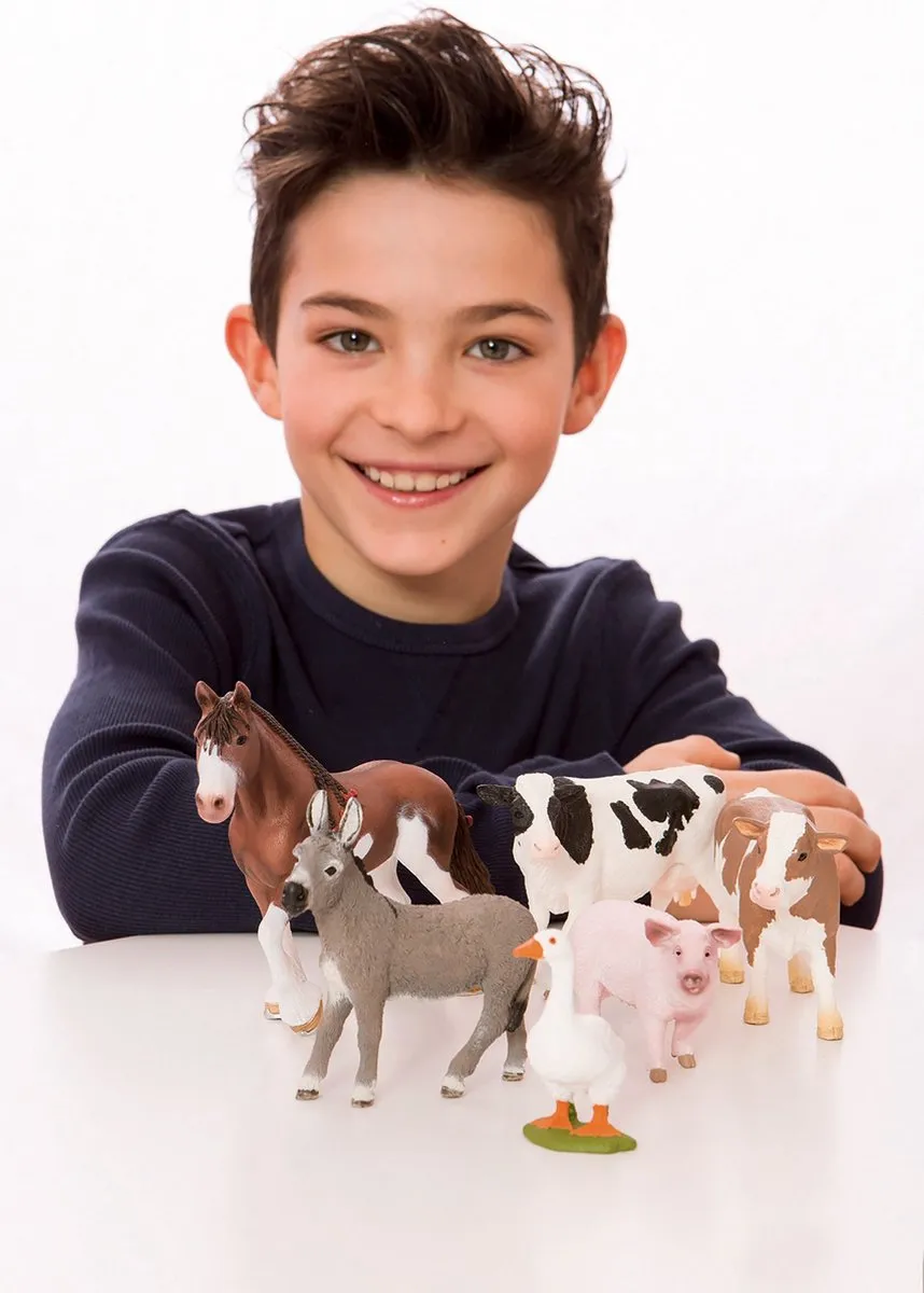Schleich Farm World Ezel Speelfiguur 13772 - Grijs