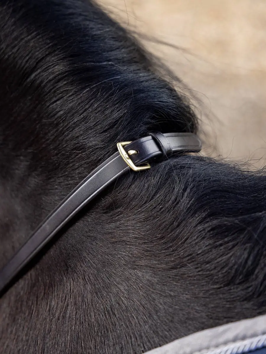 Lemieux Teugels Magna Grip Bruin-goud