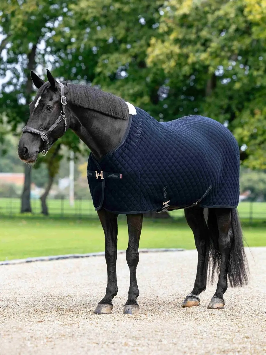 LeMieux Arika Clima-Tek Rug Navy
