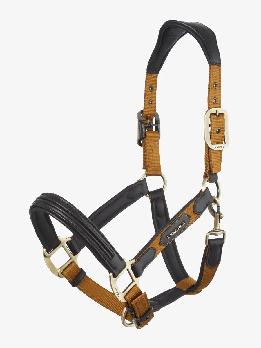 LeMieux Capella Halster FW24 Full Ginger