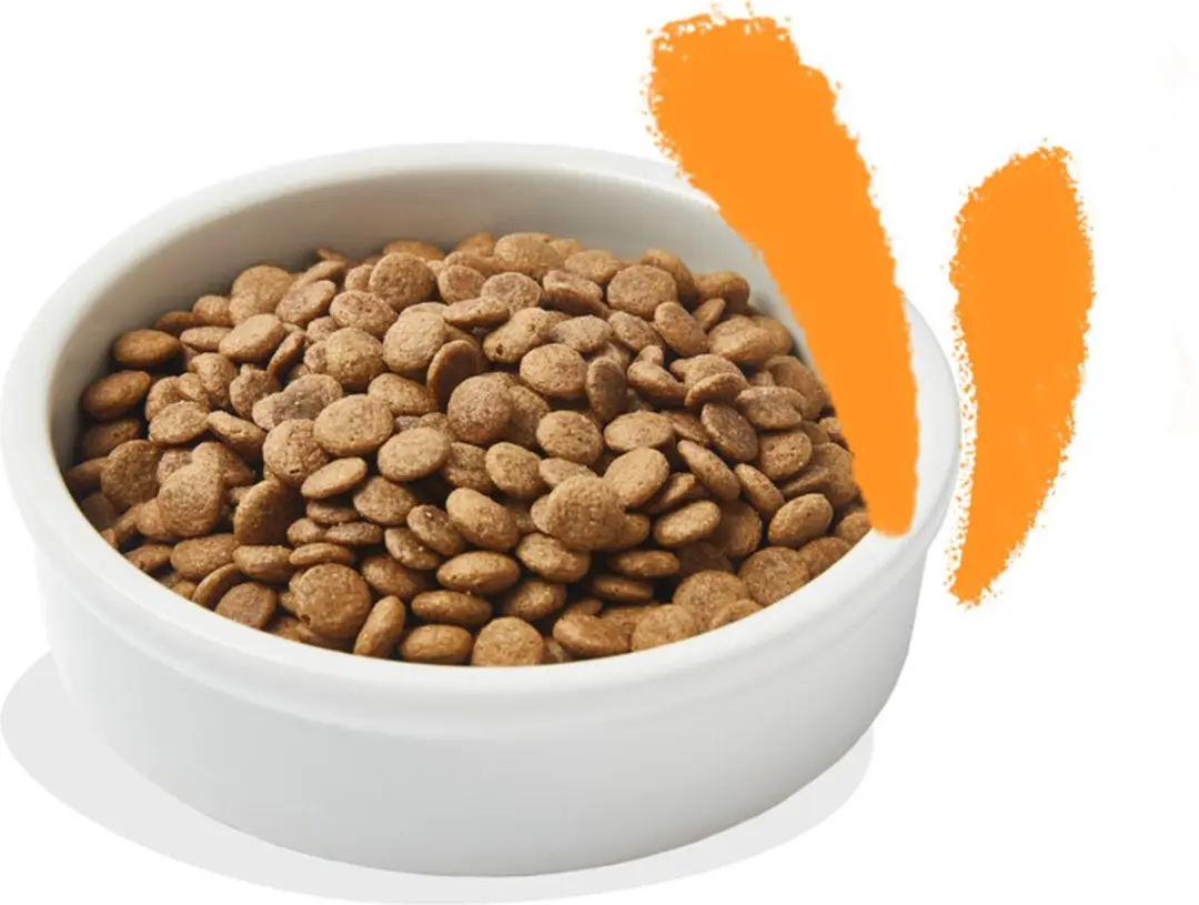 Edgard & Cooper Kattenvoer Adult Kip 2kg - 4 Stuks