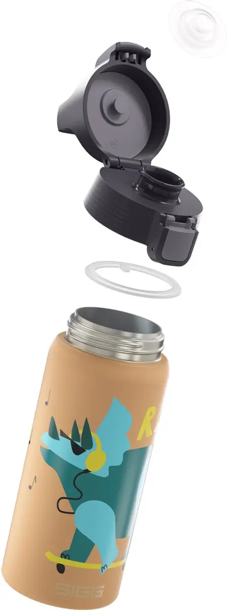 Sigg Rawfood Drinkfles 0,25L - Multicolor - afbeelding 3 van 6