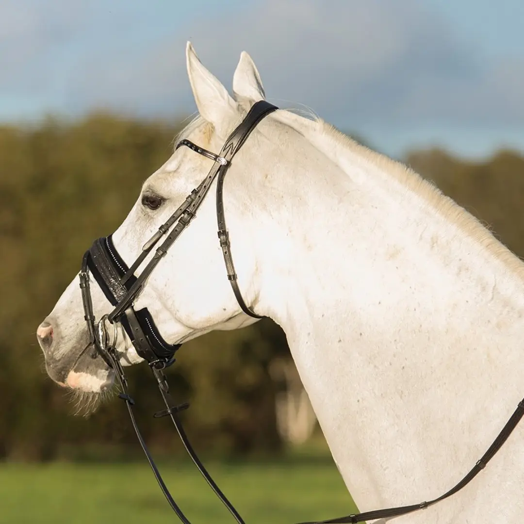 QHP Kin Onderlegger Madelon Zwart - Cob