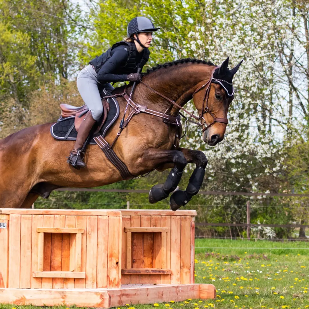 QHP Beenbeschermers Eventing L - Zwart
