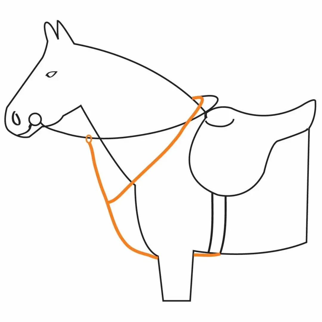 Epplejeck Martingaal Cob - Zwart