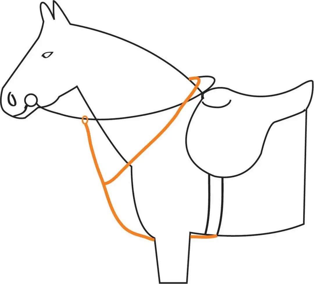 Epplejeck Martingaal Cob - Zwart