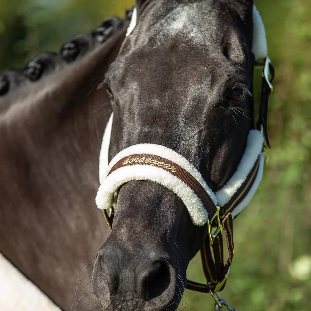 Horsegear Halster Hglyx Donkerbruin - X-Full