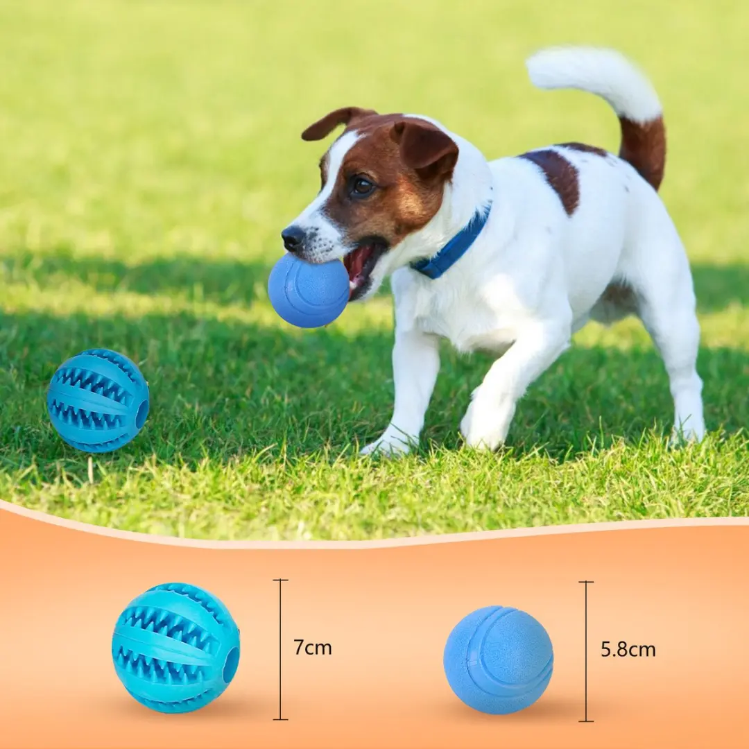 Nobleza Honden Speelgoedset - 5 Stuks