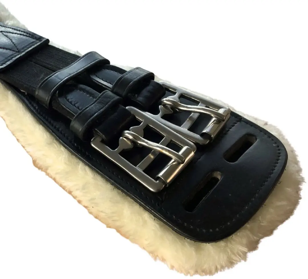 Pagony Dressuursingel Bont - Zwart Leer 65cm