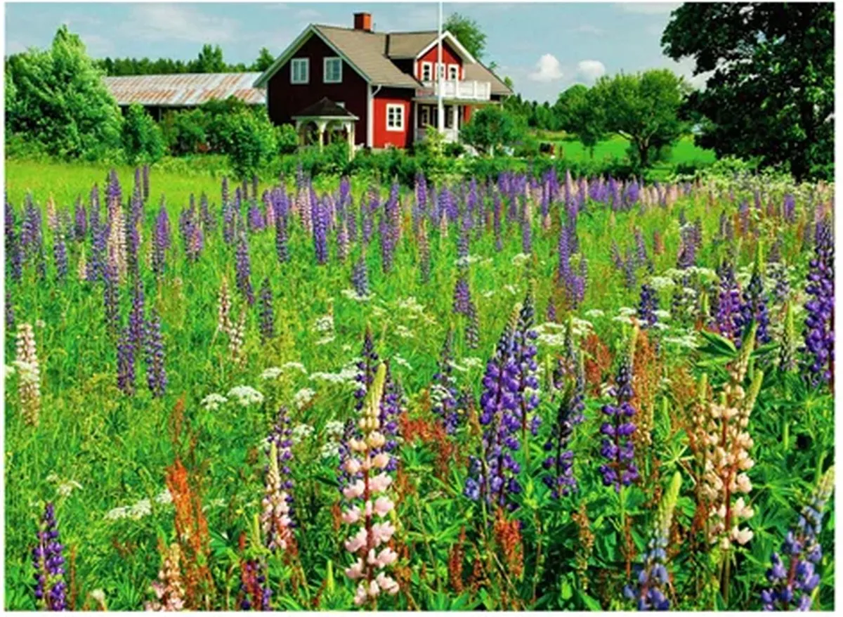 Ravensburger Boerderij in Zweden Legpuzzel 500 Stuks - 12000844
