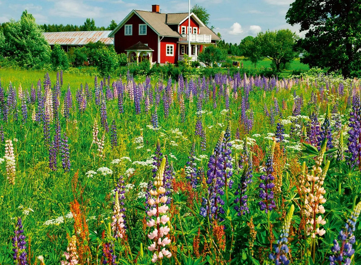 Ravensburger Boerderij in Zweden Legpuzzel 500 Stuks - 12000844
