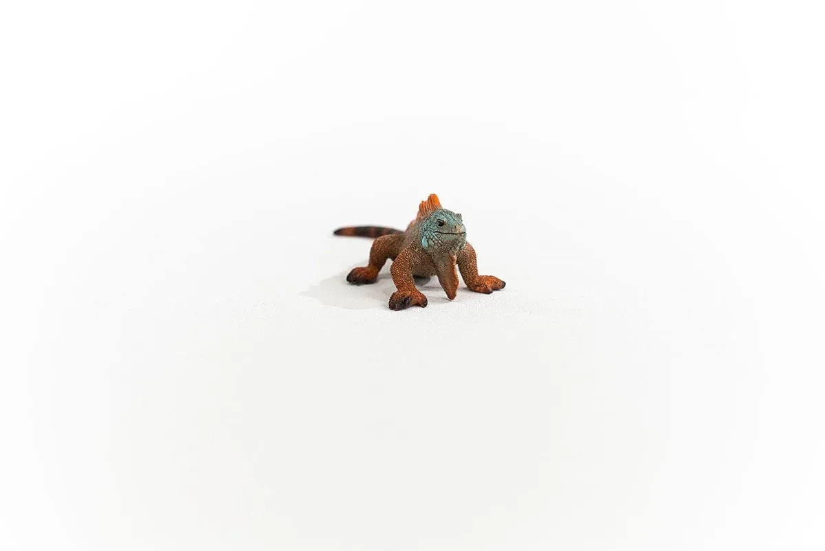 Schleich WILD LIFE Leguaan Speelfiguur 14854 - Multikleur - afbeelding 6 van 6