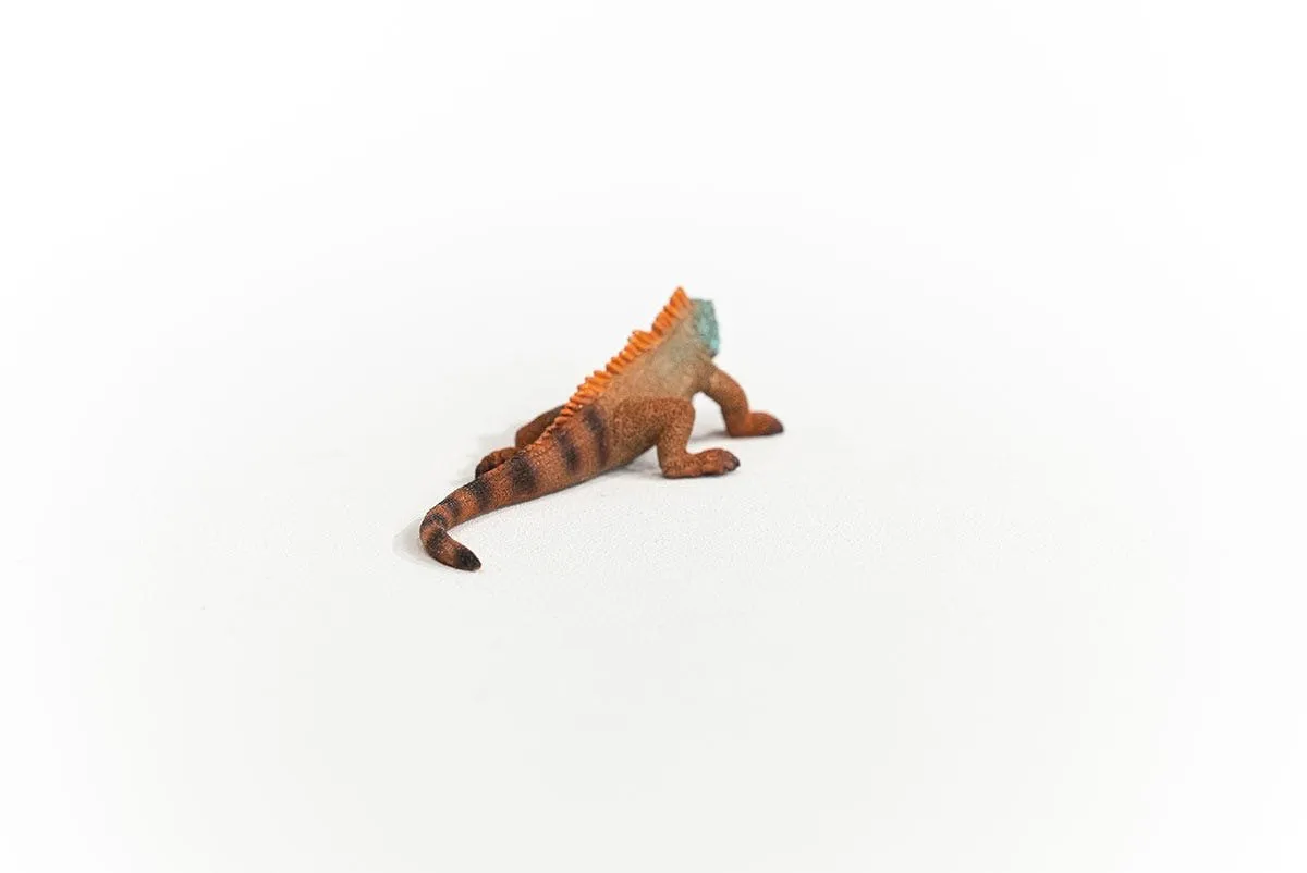 Schleich WILD LIFE Leguaan Speelfiguur 14854 - Multikleur