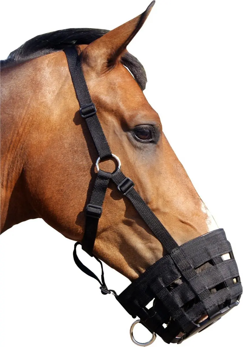 QHP Graasmasker Black Shet - Rood
