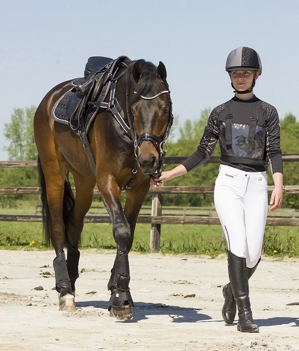 QHP Rugnummerhouder Donkerblauw