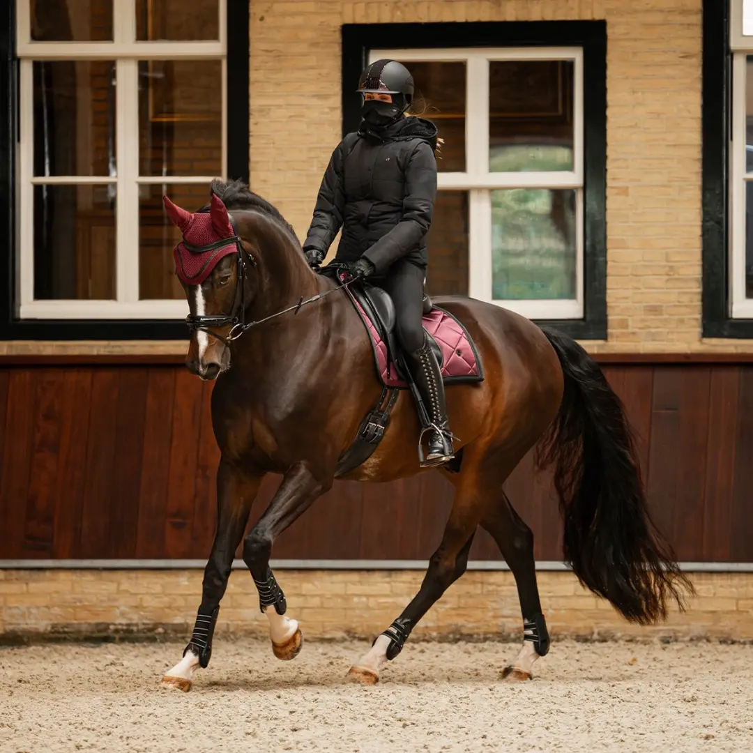 QHP Zahra Wine Red Zadeldek - Full - Paard - afbeelding 2 van 4