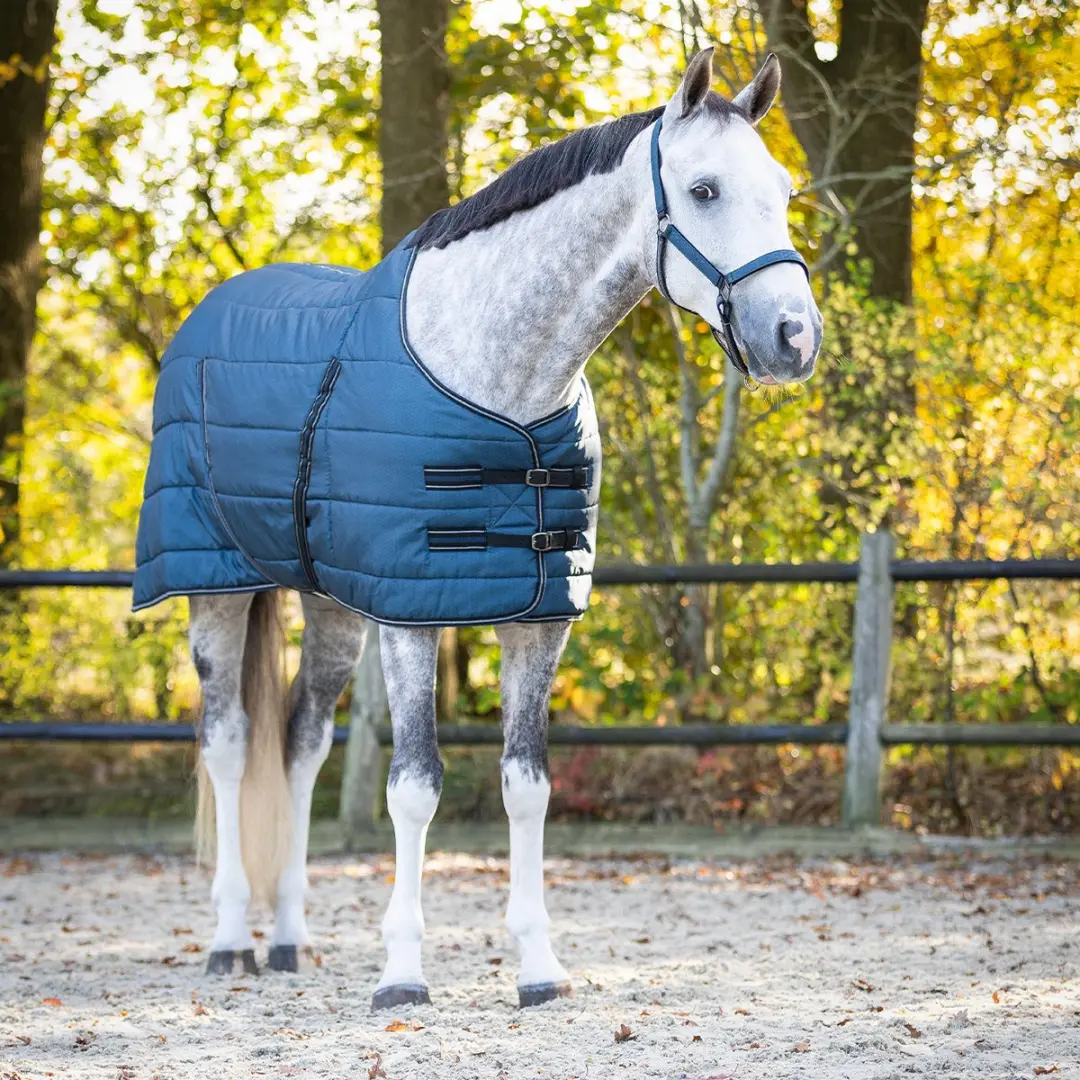 QHP Staldeken Start Collection 200g - 130cm Wit