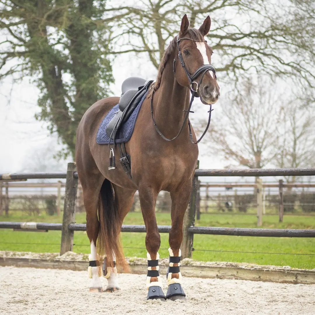 QHP Zadeldek Sensisoft Full - Donkerblauw - afbeelding 6 van 6