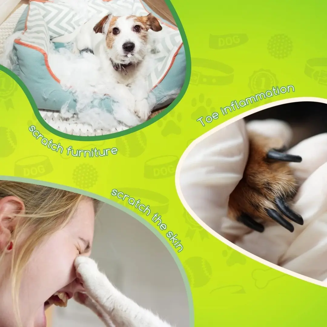 Nobleza Nagelknipper Huisdieren - Veiligheidsstop & Vijl - 2 Stuks