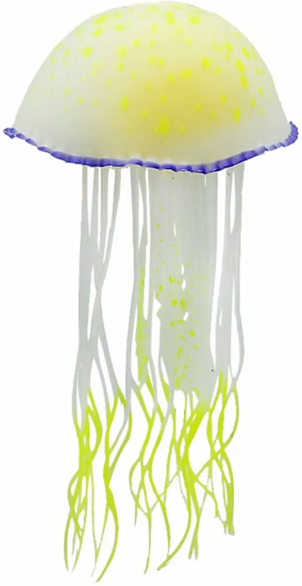 Nobleza Aquarium Kwal