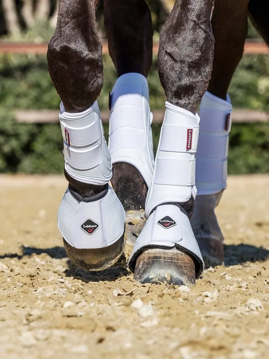 Lemieux Proshell Peesbeschermers L